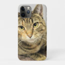 Search for gray cat iphone cases Photography
