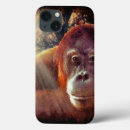 Search for ap cases Orangutans