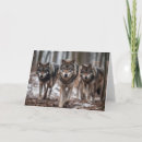 Search for packing cards Animals