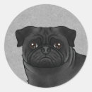 Search for pug face stickers Dog