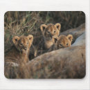 Search for lion portrait mousepads Animal