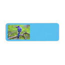 Search for blue jay labels Jays
