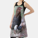 Search for chickens aprons Bird