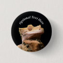 Search for gecko badges Pet