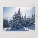 Search for snow tree postcards Outdoors