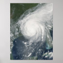 Search for katrina posters Photography