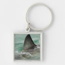 Search for risks key rings Danger