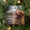 Search for loss pet memorial ornaments Forever in our hearts
