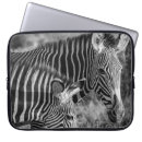 Search for landscape photo cases Retro