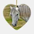 Search for white horse christmas tree decorations Pony