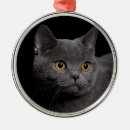 Search for animal premium christmas tree decorations Pet