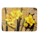 Search for jonquils Daffodil
