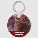 Search for lion pictures key rings Big cat