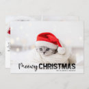 Search for cat lover christmas cards Photo collage