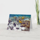 Search for barrier cards Fish