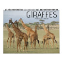Search for giraffe calendars Safari