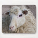 Search for sheeps mousepads Animal