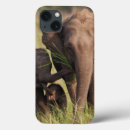 Search for asian elephant cases Animal