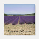 Search for scents magnets Purple