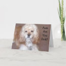 Search for youre the boss cards Photography