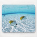 Search for fish viewing mousepads Nature