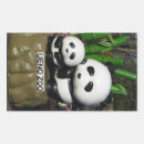 Search for big panda bears stickers Kawaii