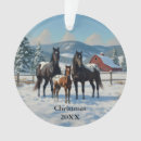 Search for appaloosa horse christmas tree decorations Horses