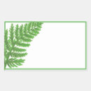 Search for woodland fern stickers Watercolor