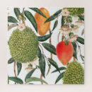 Search for mango puzzles Illustration