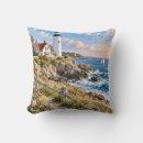 Search for new england cushions Rocky coastline
