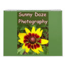 Search for sunny photography Sky