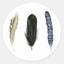 Search for bird feather stickers Nature