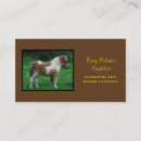 Search for pony Equine