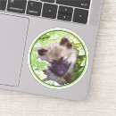 Search for spitz stickers Dog