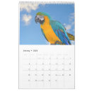 Search for alligator calendars Birds