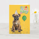 Search for border terrier cards Dogs
