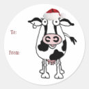 Search for christmas cows stickers Cattle
