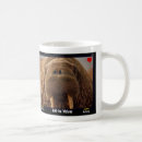 Search for the walrus mugs Arctic
