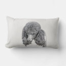 Search for standard poodle cushions Puppy