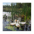 Search for water lily tiles Retro