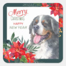 Search for watercolor poinsettia stickers Merry christmas