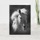 Search for portrait cards Animal