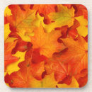 Search for maple coasters Gold