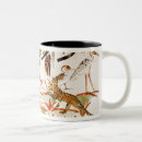 Search for marsh mugs Bird