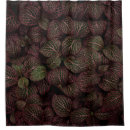 Search for maroon shower curtains Flower