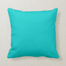 Search for sea green cushions Teal