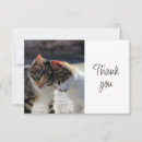 Search for pet sitter cards Cute