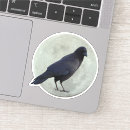 Search for rook stickers Bird