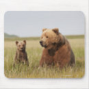 Search for bondeli electronics Nature