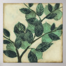 Search for background posters Botanical